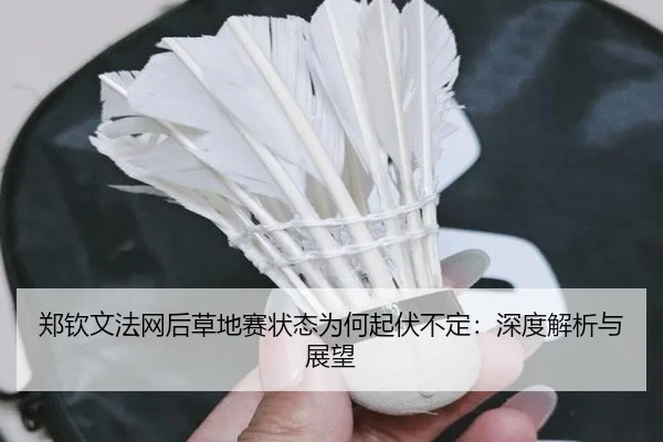 郑钦文法网后草地赛状态为何起伏不定：深度解析与展望